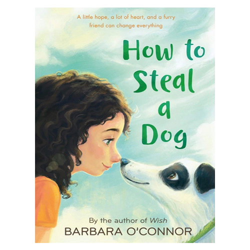 How to Steal a Dog (Paperback)