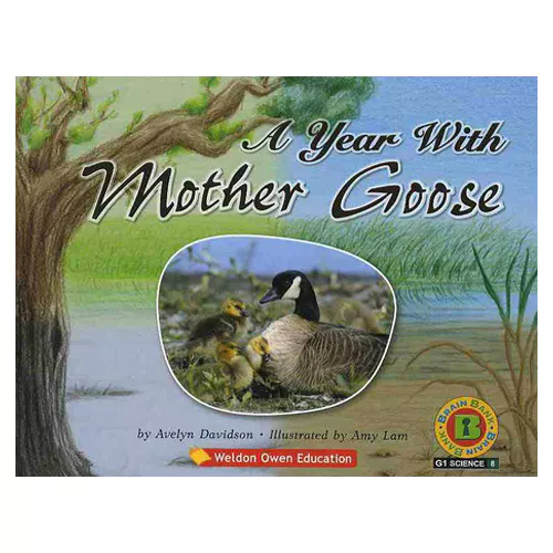 Brain Bank Grade 1 Science 08 Workbook Set / A Year With Mother Goose