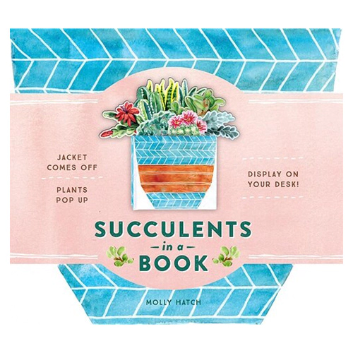 Succulents in a Book / Jacket Comes Off. Plants Pop Up. Display on Your Desk! (Hardcover)(UpLifting Edition)