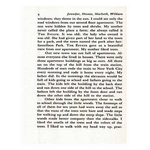 Newbery / Jennifer, Hecate, Macbeth, William McKinley, and Me, Elizabeth (Paperback)