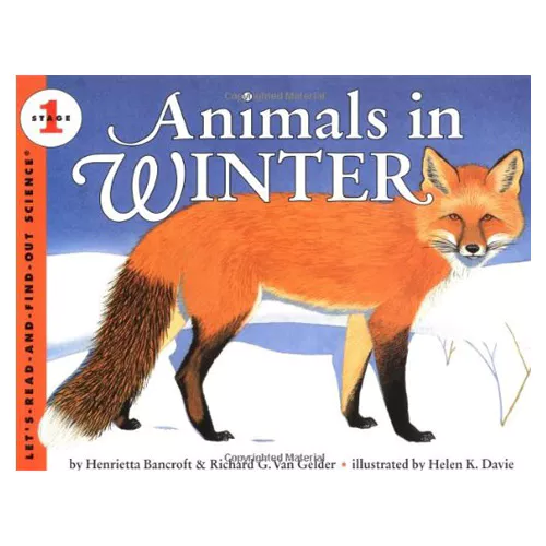 Animals in Winter (Paperback)
