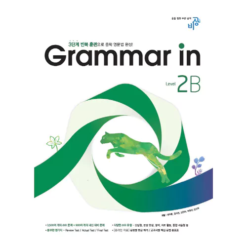 Grammar in 2B (2016)