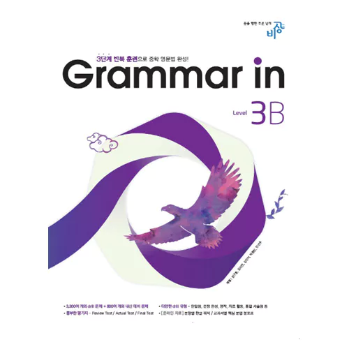 Grammar in 3B (2016)