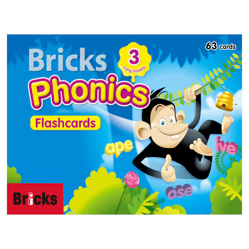 Bricks Phonics 3 Flash cards