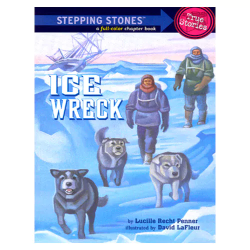 Stepping Stones True Stories : Ice Wreck