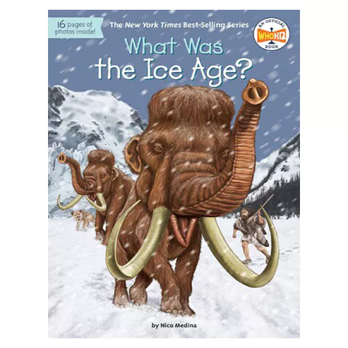 What Was #11 / Ice Age?