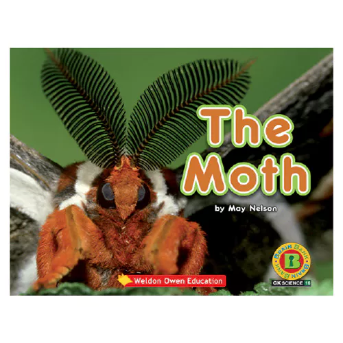 Brain Bank Grade K Science 16 Workbook Set / The Moth